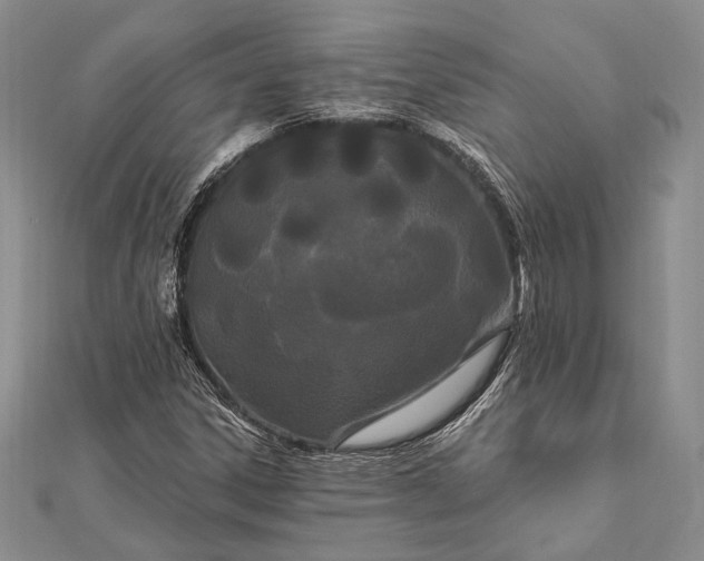 X0000111911306200908101152