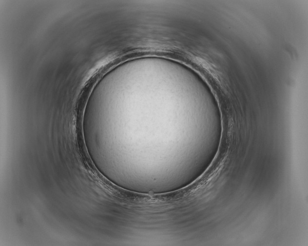 X0000111911307200908101152