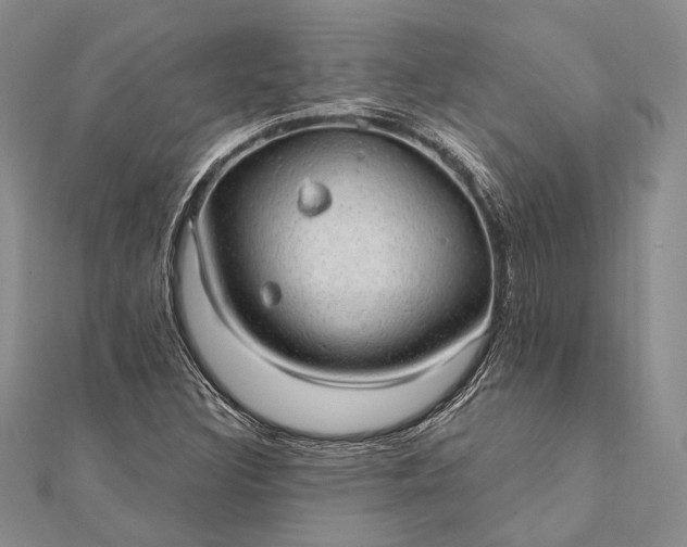 X0000111911308200908101152