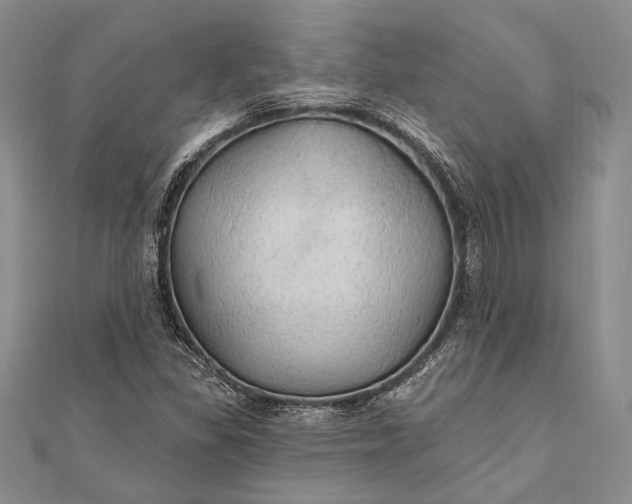 X0000111911309200908101152