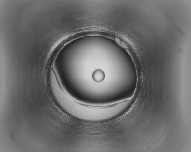 X0000111911310200908101152