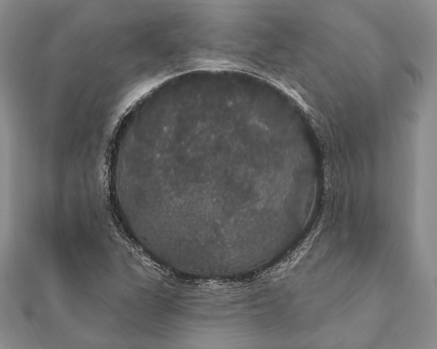 X0000111911311200908101152