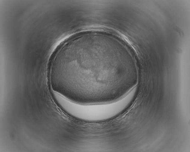 X0000111911312200908101152