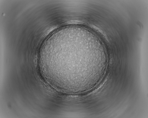 X0000111911313200908101152