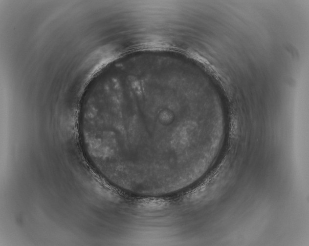 X0000111911314200908101152