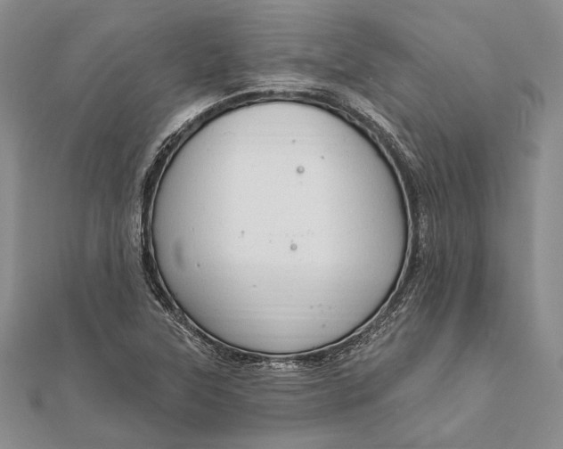 X0000111911315200908101152