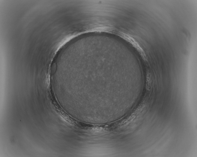 X0000111911316200908101152