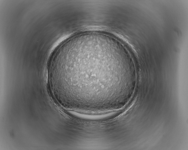 X0000111911317200908101152