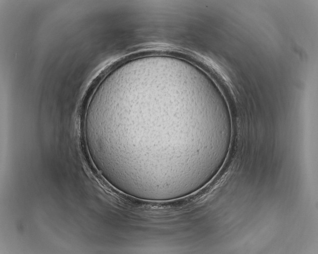 X0000111911318200908101152