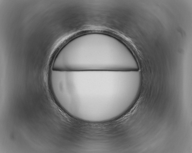 X0000111911319200908101152