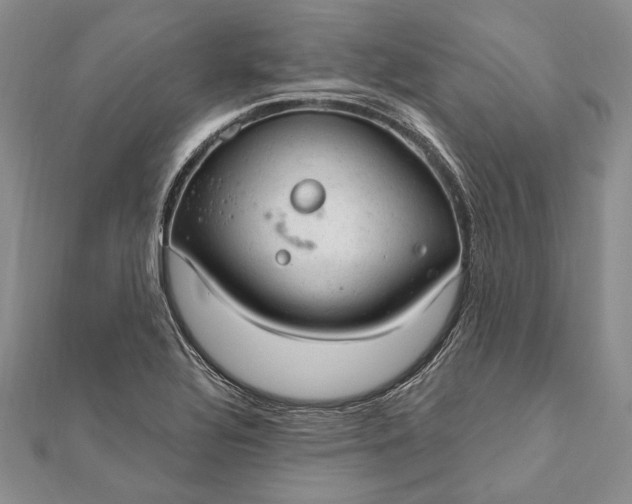 X0000111911320200908101152