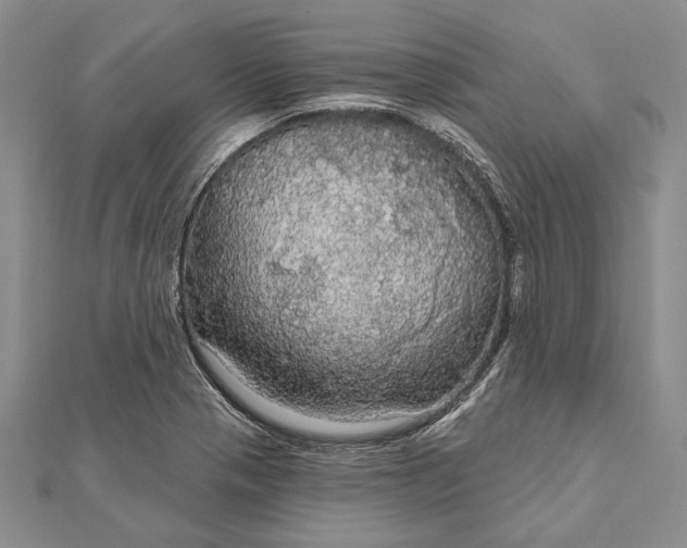 X0000111911321200908101152