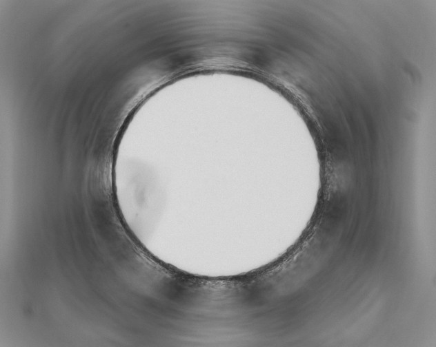 X0000111911322200908101152