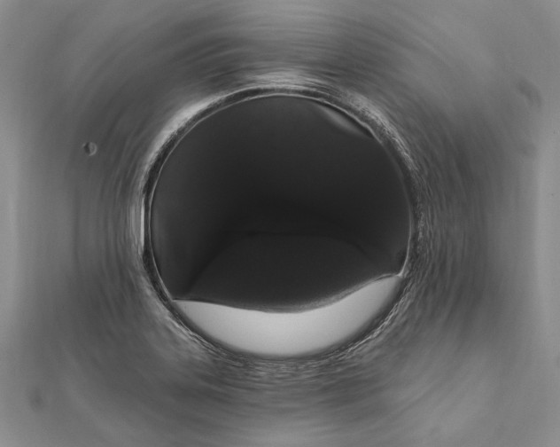 X0000111911323200908101152