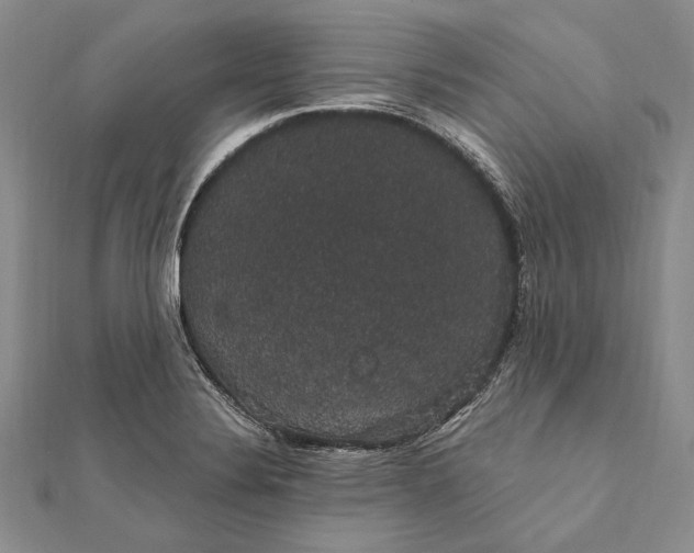 X0000111911324200908101152