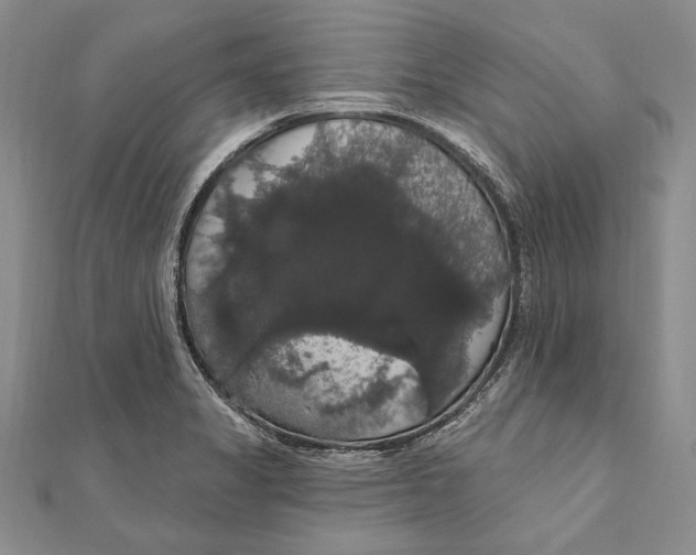 X0000111911325200908101152