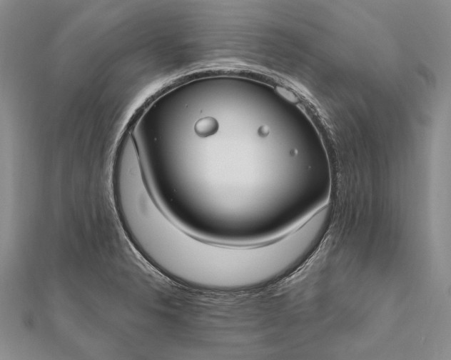 X0000111911326200908101152