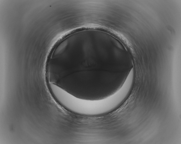 X0000111911327200908101152