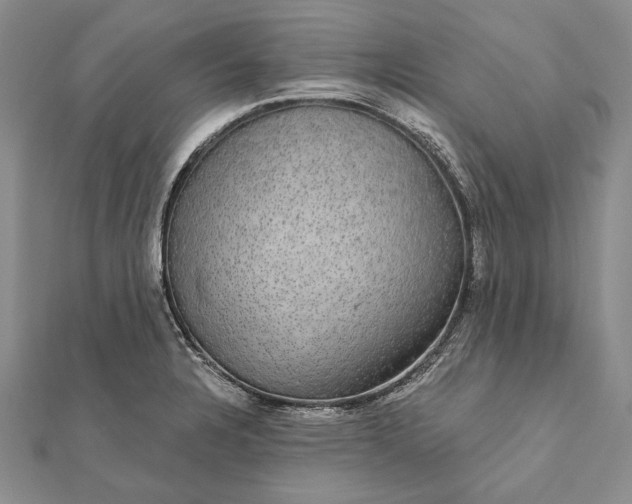 X0000111911328200908101152