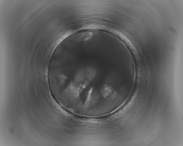 X0000111911329200908101152