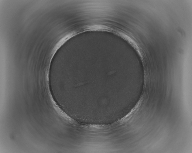 X0000111911330200908101152