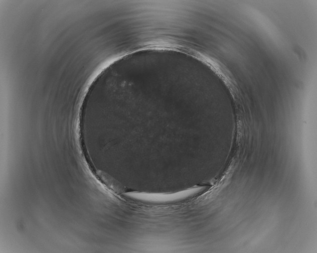 X0000111911331200908101152