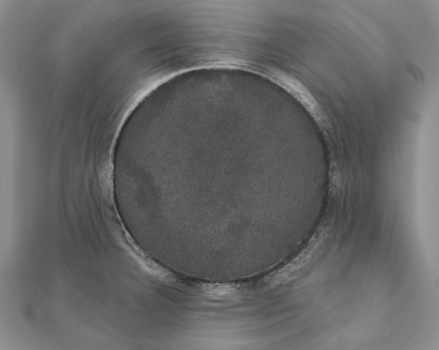 X0000111911332200908101152