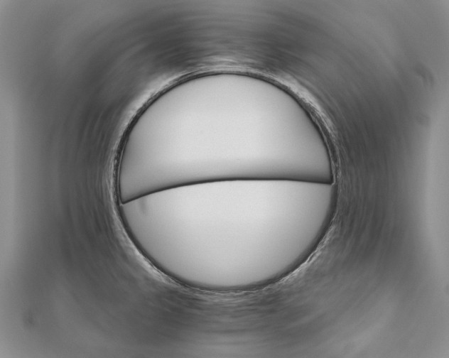 X0000111911333200908101152