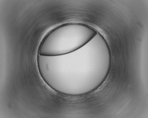 X0000111911334200908101152