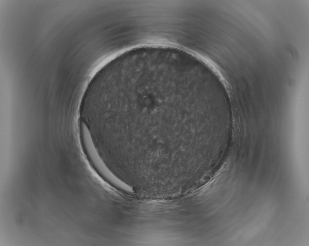 X0000111911335200908101152