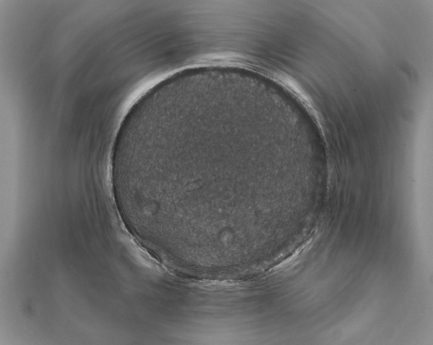 X0000111911336200908101152