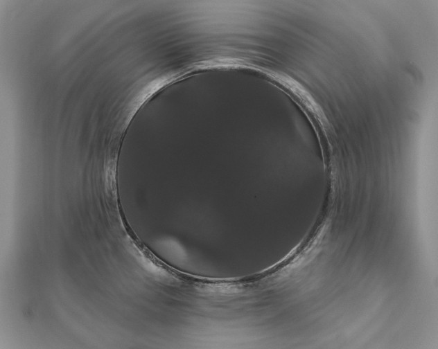 X0000111911337200908101152