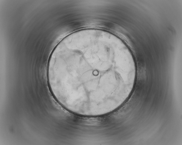 X0000111911338200908101153