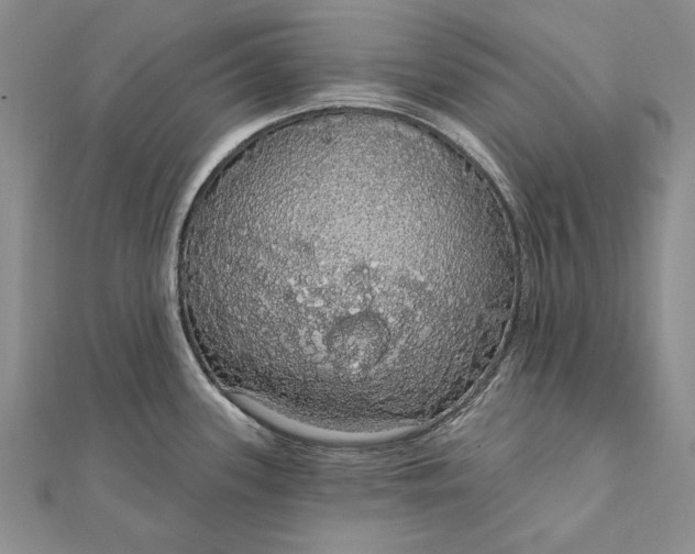 X0000111911339200908101153