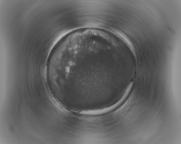 X0000111911340200908101153