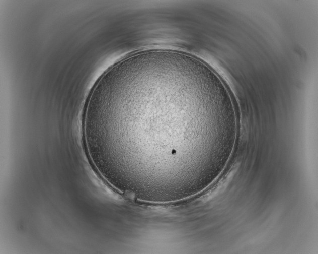 X0000111911341200908101153