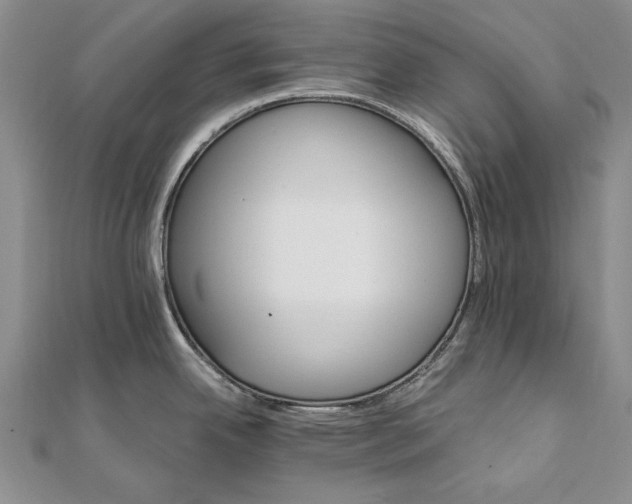 X0000111911342200908101153