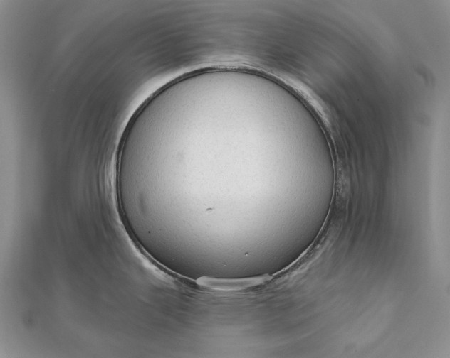 X0000111911343200908101153