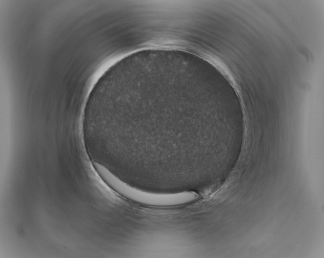 X0000111911344200908101153