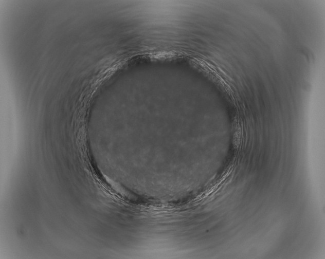 X0000111911345200908101152