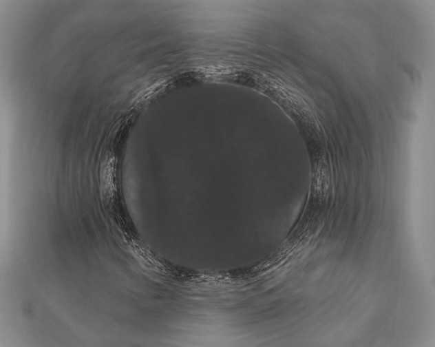 X0000111911346200908101152