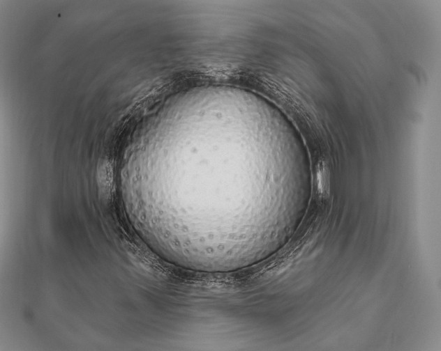 X0000111911347200908101152