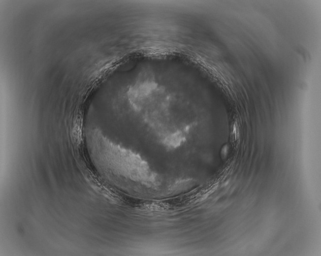 X0000111911348200908101152