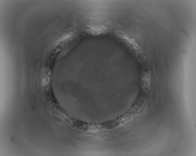 X0000111911349200908101152