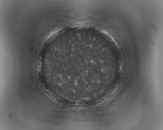 X0000111911350200908101152