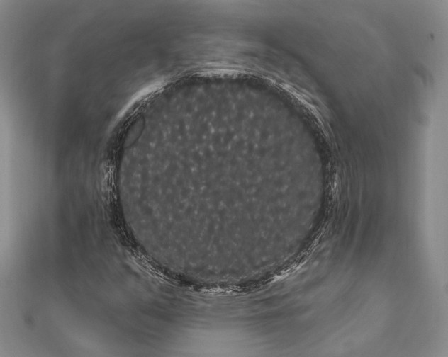 X0000111911351200908101152