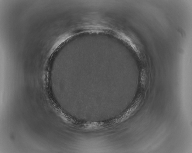 X0000111911352200908101152