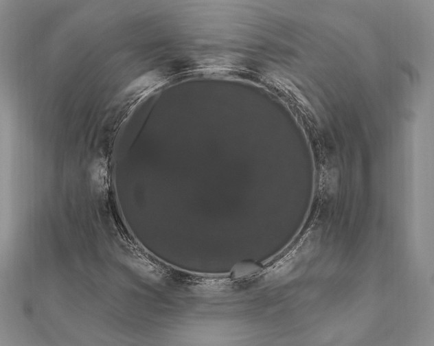 X0000111911353200908101152