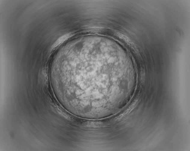 X0000111911354200908101152