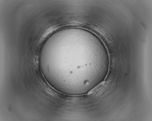 X0000111911355200908101152